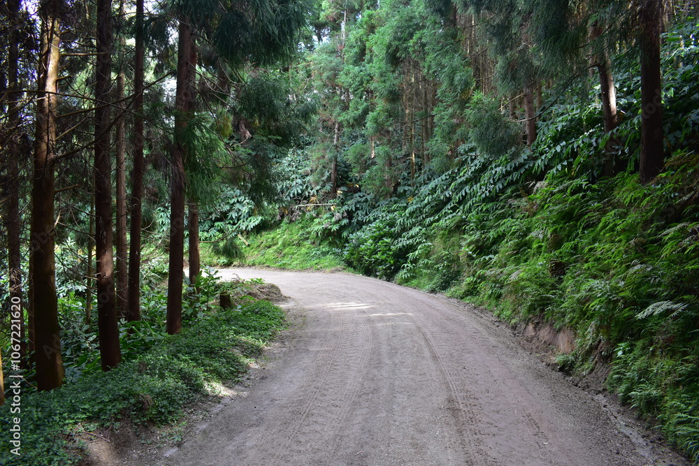 Fototapeta premium Azores - Sao miguel