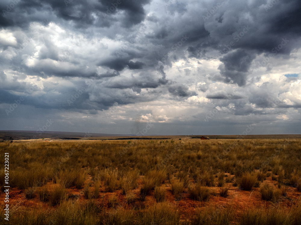 Fototapeta premium Madagaskar