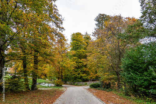 Autumn view at Bernrieder Park on Lake Starnberg, Bavaria, Upper Bavaria, Germany