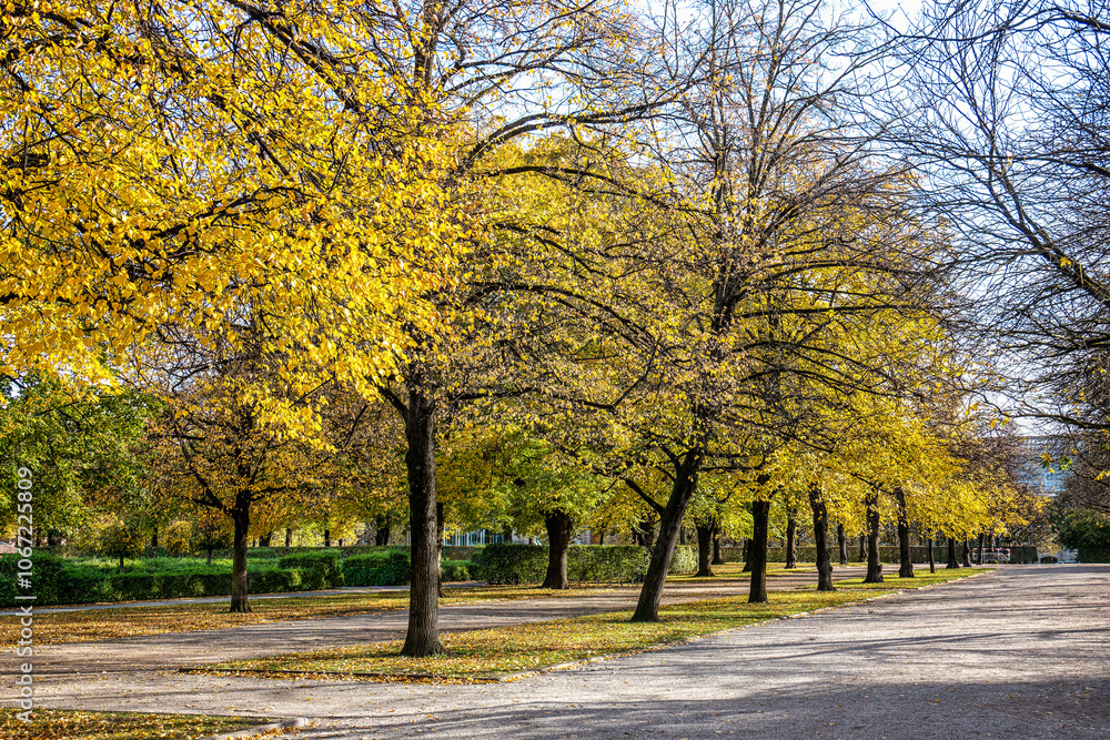 Naklejka premium Walking in Hofgarten Park in Munich on an autumn day, Germany
