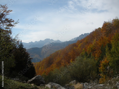 autumn landscape in the mountains