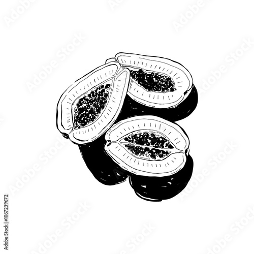 Abstract fruits vector black ink . Modern trendyи minimal style. Exotic Healthy Food. Hand drawn design for wallpaper, wall decor, print, postcard, cover, template, banner.