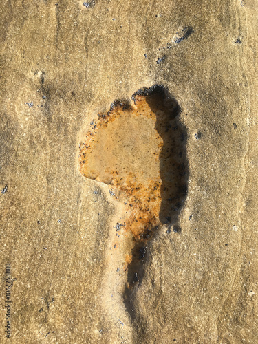 Принти на полотні water filled indent in rock