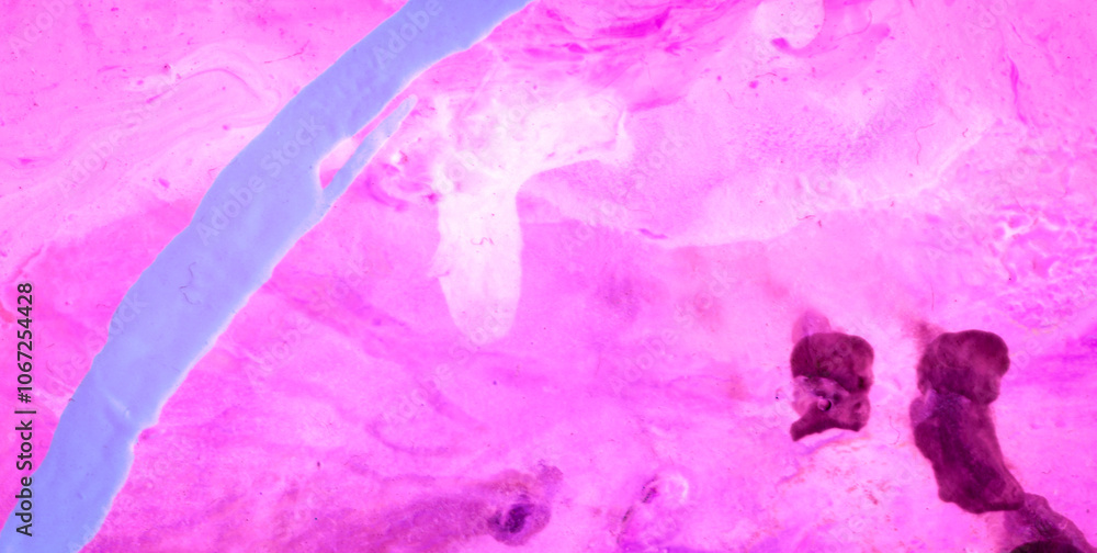 Fototapeta premium Old Paper with a Dirty Grunge Texture and Vintage Vibe