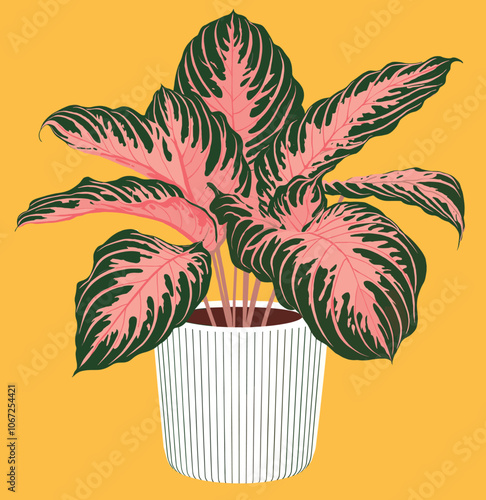 Illustration of a vibrant potted houseplant with pink and green leaves in a striped planter against a yellow background, modern botanical art
