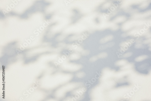 The shadow of the sun shining through the wood