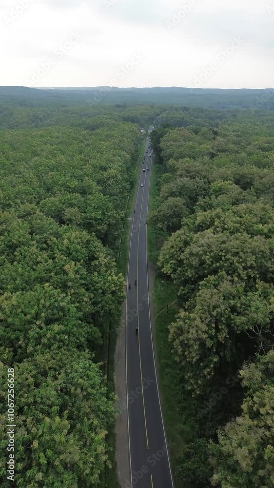 4K Drone Potrait View Scenic Forest Road Amidst Dense Greenery | streets in the middle of a dense forest, featuring a green and serene natural landscape. 4K Drone Potrait View Scenic Forest Road Amidst Dense Greenery | streets in the middle of a dense forest, featuring a green and serene natural landscape.