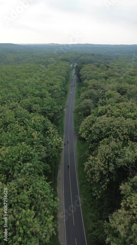 4K Drone Potrait View Scenic Forest Road Amidst Dense Greenery | streets in the middle of a dense forest, featuring a green and serene natural landscape. 