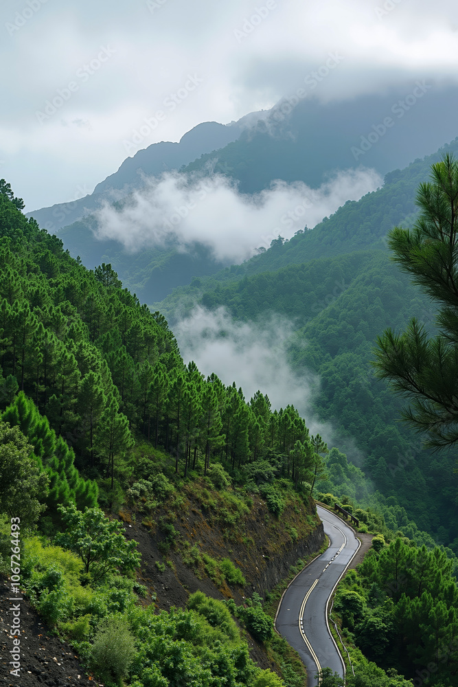 A winding road in the middle of a lush green forest A winding road in the middle of a lush green forest
