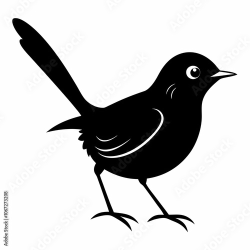 Vector Tailorbird silhouette black illustration on a white background