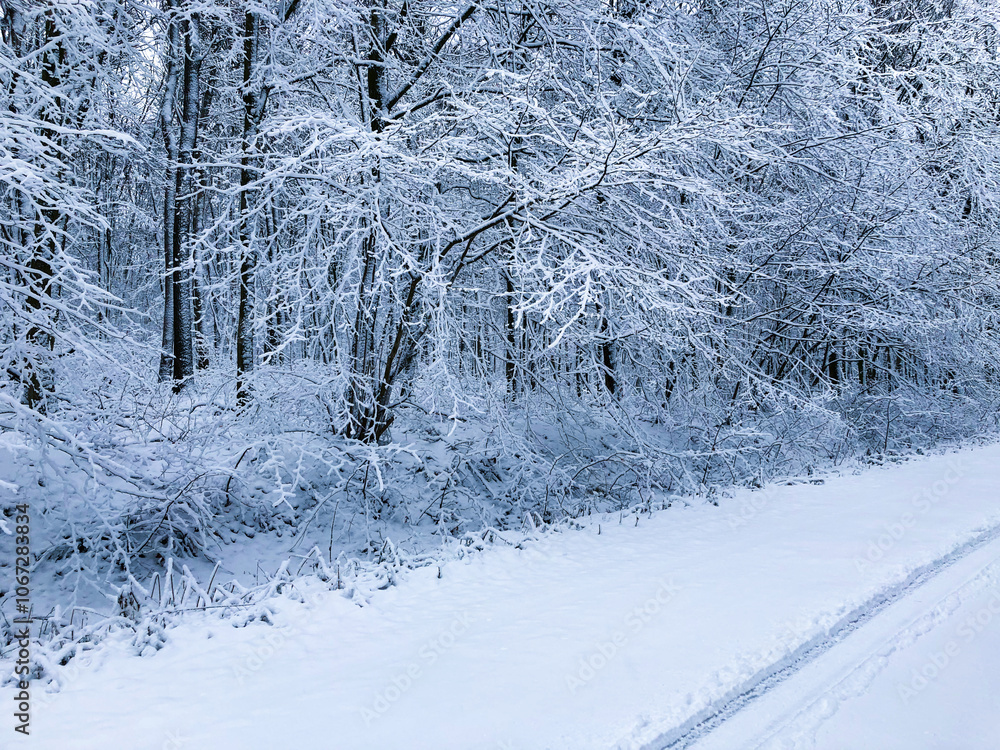 Fototapeta premium Snowy forest road with winter snowy trees.