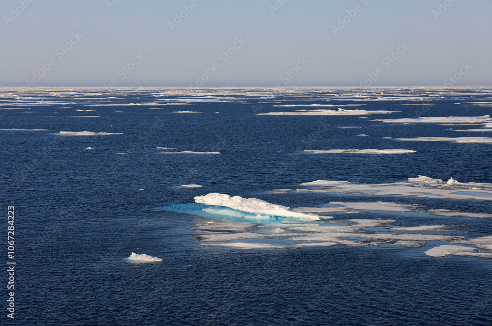 Naklejka premium Pack ice north of Svalbard