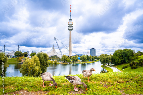 Munich Olympiapark tower and Olympiasee lake view, ducks in front photo