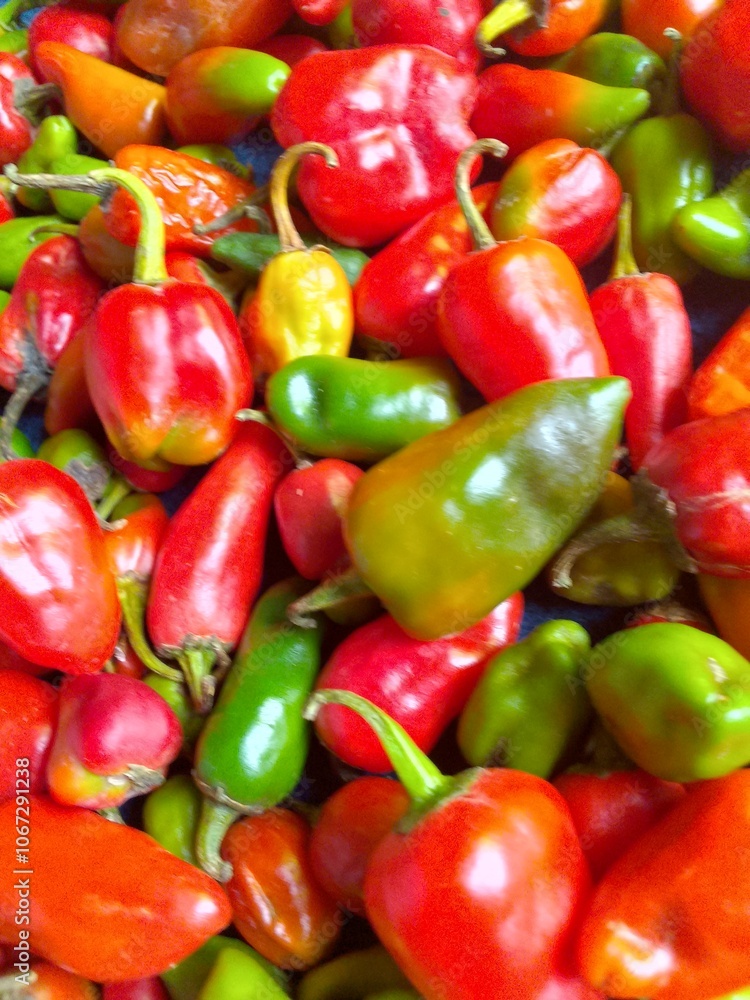 Vibrant Red and Green Fresh Chilies Spicy Feast for the Eyes Vibrant Red and Green Fresh Chilies Spicy Feast for the Eyes