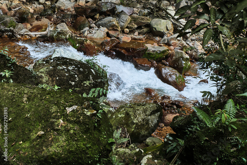 Rushing Stream Over Mossy Rocks in Forest