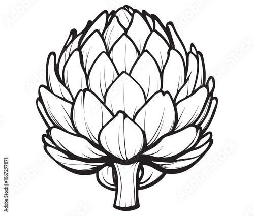 Hand drawn sketch artichoke illustration, Artichoke cartoon style vector, Artichoke vegetables icon