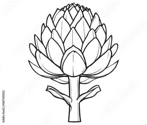 Hand drawn sketch artichoke illustration, Artichoke cartoon style vector, Artichoke vegetables icon