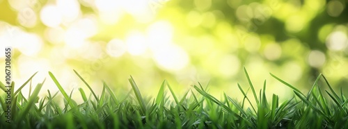 Green Grass Blades with Bokeh Background