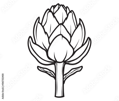 Hand drawn sketch artichoke illustration, Artichoke cartoon style vector, Artichoke vegetables icon