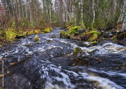 Serene forest stream with lush greenery and rocks.