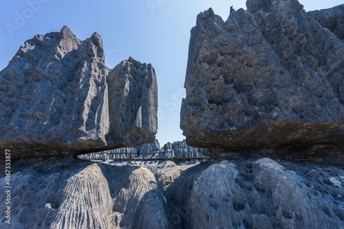 Towering limestone karst formations create the breathtaking landscape of Tsingy de Bemaraha National Park. Sharp, jagged peaks and deep canyons provide breathtaking views. Madagascar, Africa. photo