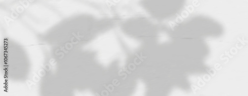 Glare from the sun's rays on the wall. Blurred shadows from leaves and plants in the room. Soft overlay of natural light. Abstract background for product presentation.Natural light layout.