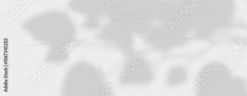 Glare from the sun's rays on the wall. Blurred shadows from leaves and plants in the room. Soft overlay of natural light. Abstract background for product presentation.Natural light layout.