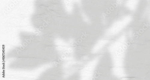 Glare from the sun's rays on the wall. Blurred shadows from leaves and plants in the room. Soft overlay of natural light. Abstract background for product presentation.Natural light layout.