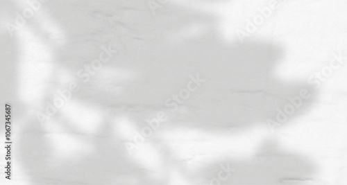 Glare from the sun's rays on the wall. Blurred shadows from leaves and plants in the room. Soft overlay of natural light. Abstract background for product presentation.Natural light layout.