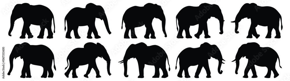 Elephant silhouettes set, animal pack of vector silhouette design, isolated background. Elephant silhouettes set, animal pack of vector silhouette design, isolated background.