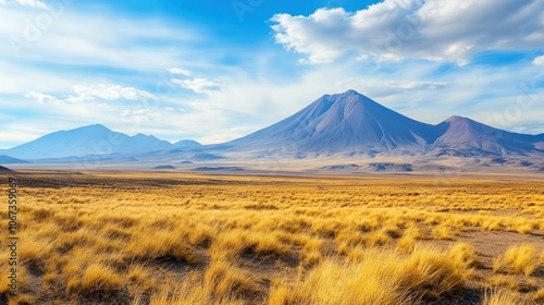 A scenic view of a vast landscape featuring mountains and golden grass under a blue sky.