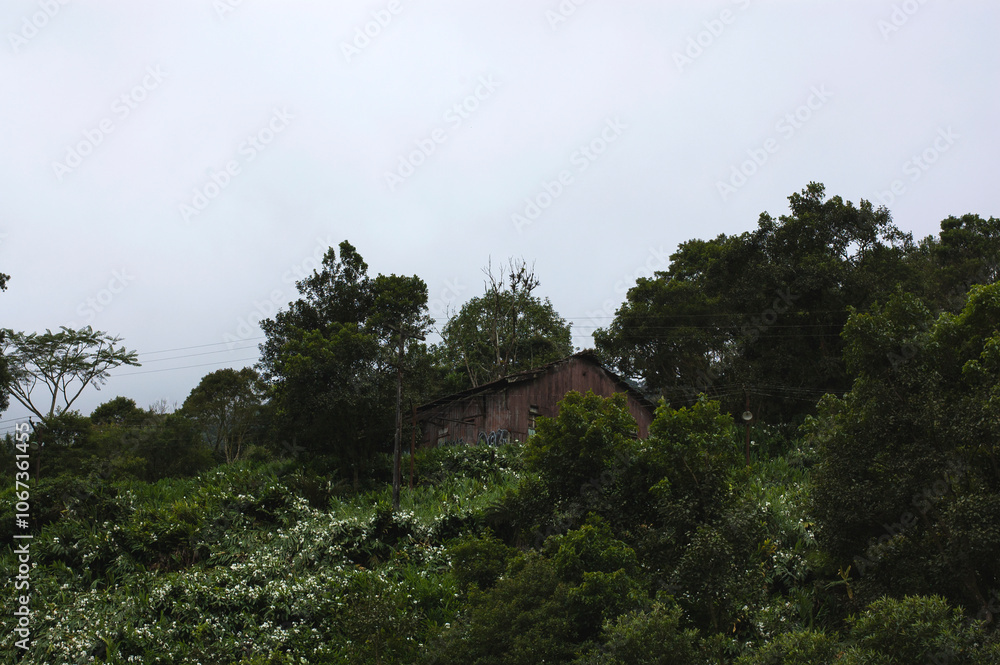 Obraz premium Nature retreat