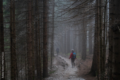 Wandern im Nebel