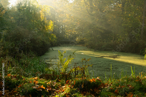 Park Pszczyna, krajobraz jesienny ze stawem