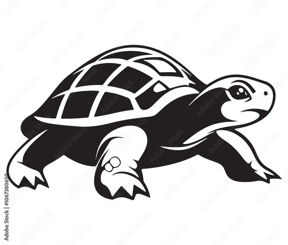 Fototapeta premium Tortoise icon silhouette, Turtle coloring page, Sea turtle illustration vector