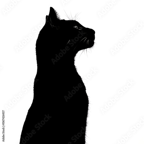 Black and white silhouette of a panther facing right