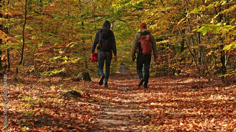 Two Caucasian Male Hiker Tourists Trail Blazing Hiking Trip Through Autumn Forest Two Caucasian Male Hiker Tourists Trail Blazing Hiking Trip Through Autumn Forest