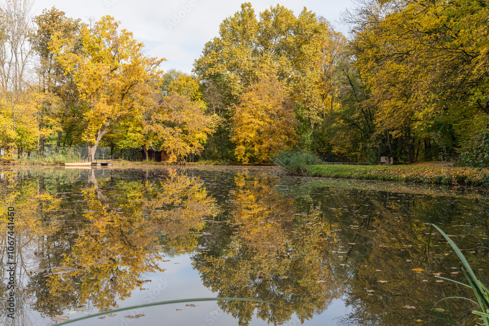 Autumn in a lakeside park in slovakia Autumn in a lakeside park in slovakia