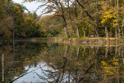 Autumn in a lakeside park in slovakia