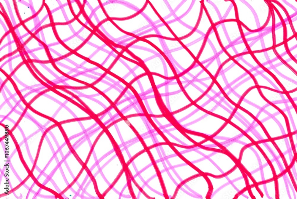 Red and pink wave lines abstract background, design Red and pink wave lines abstract background, design