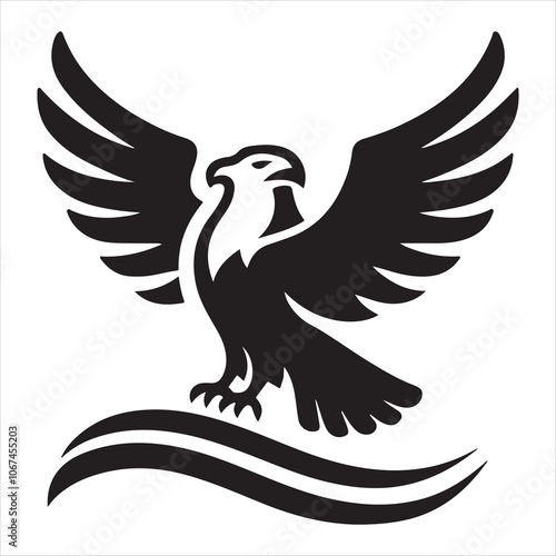 Graphic artwork of an eagle soaring and a bird logo