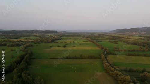 Ljubljansko barje in the evening light, Slovenia farmlands from above, drone shot, aerial footage photo