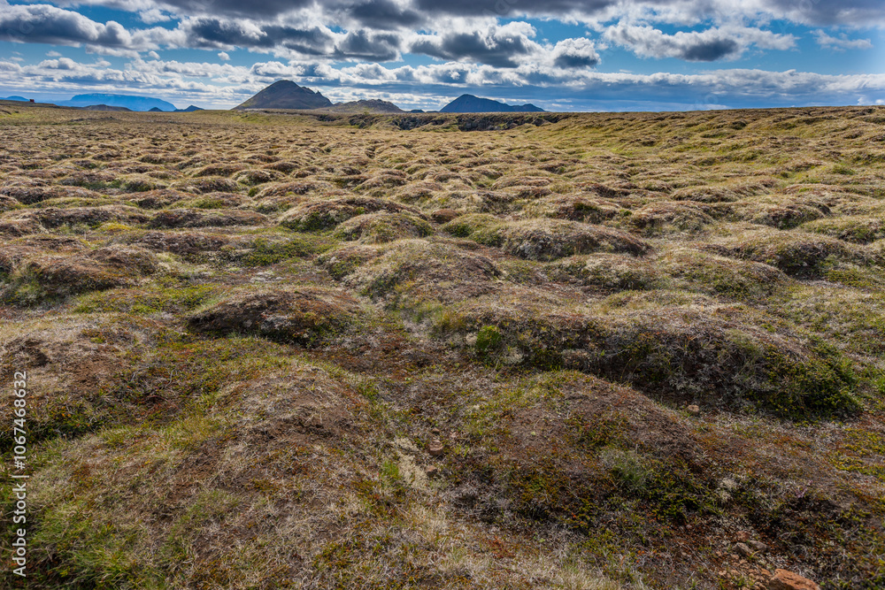 Amazing lava field in the highlands of Iceland near Myvatn, black old lava flows and volcanic rocks, mountains in the background Amazing lava field in the highlands of Iceland near Myvatn, black old lava flows and volcanic rocks, mountains in the background