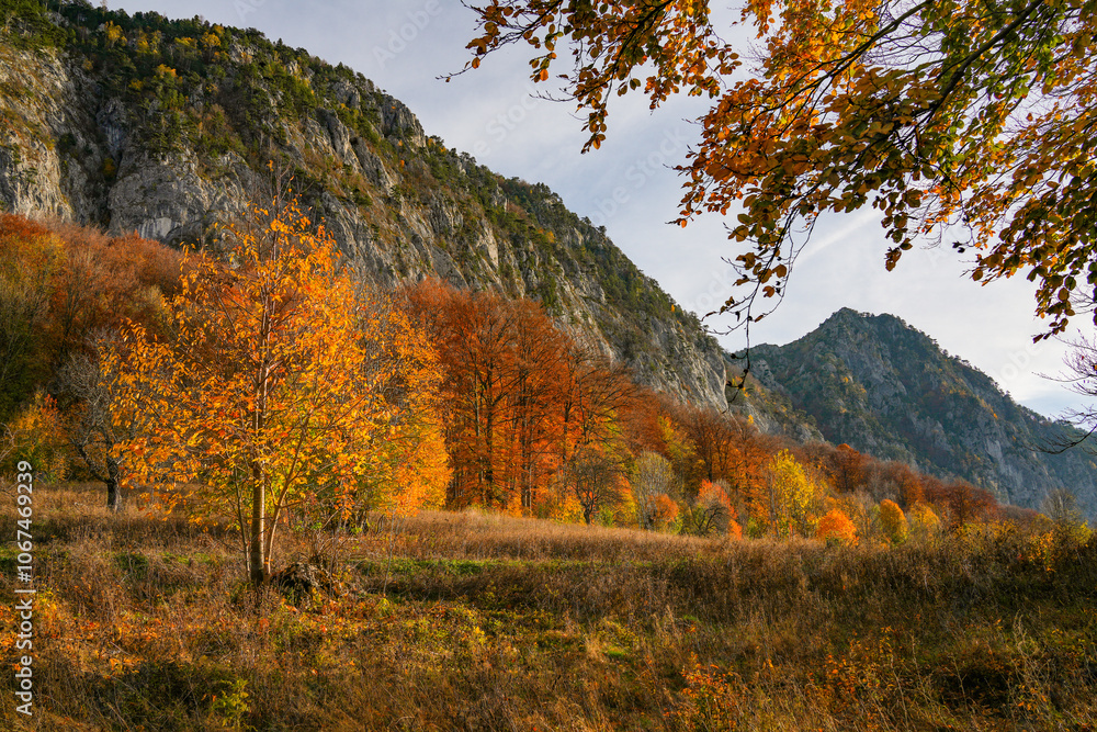 Fototapeta premium Scenic sunset autumn landscape in Mehedinti Mountains, Romania, Europe 