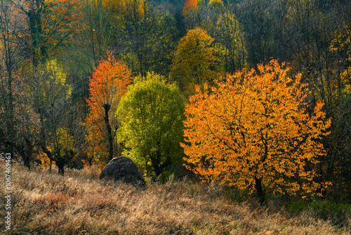 Scenic sunset autumn landscape in Mehedinti Mountains, Romania, Europe photo