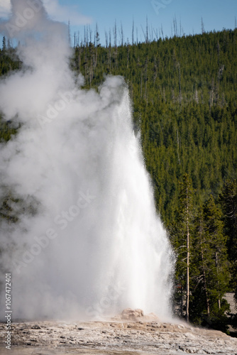 Old Faithful erupting in Upper Basin in Yellowstone National Park