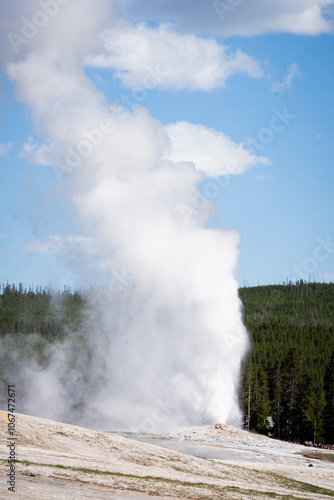 Old Faithful erupting in Upper Basin in Yellowstone National Park