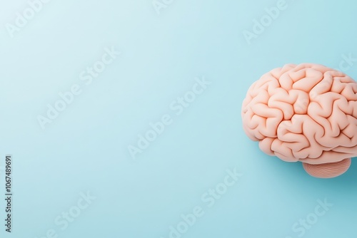 Brain Model on Light Blue Background for Psychology Themes