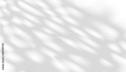 Light and shadow leaf on white background.Natural abstract shadow ,sunlight diagonal refraction on grey concrete wall texture.Vector mockup sunbeams,foliage effect overlay for graphic design layout