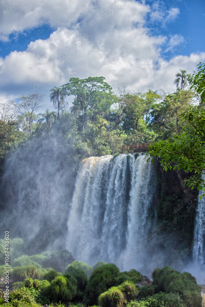 Naklejka premium Waterfalls and trees at Iguazu Falls, Misiones, Argentina